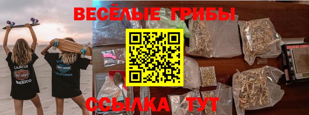 Галлюциногенные грибы MAGIC MUSHROOMS  Вход с VPN  Красноармейск 