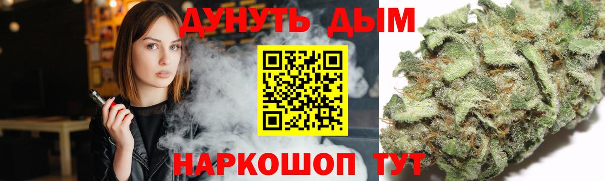 Бошки Шишки планчик Красноармейск